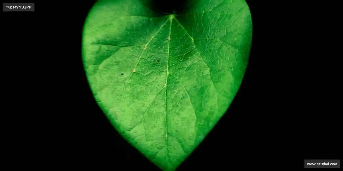 米兰体育🚴♀️风在前,无惧挑战!每一次骑行、每一次挥拍,都是成长的印记!